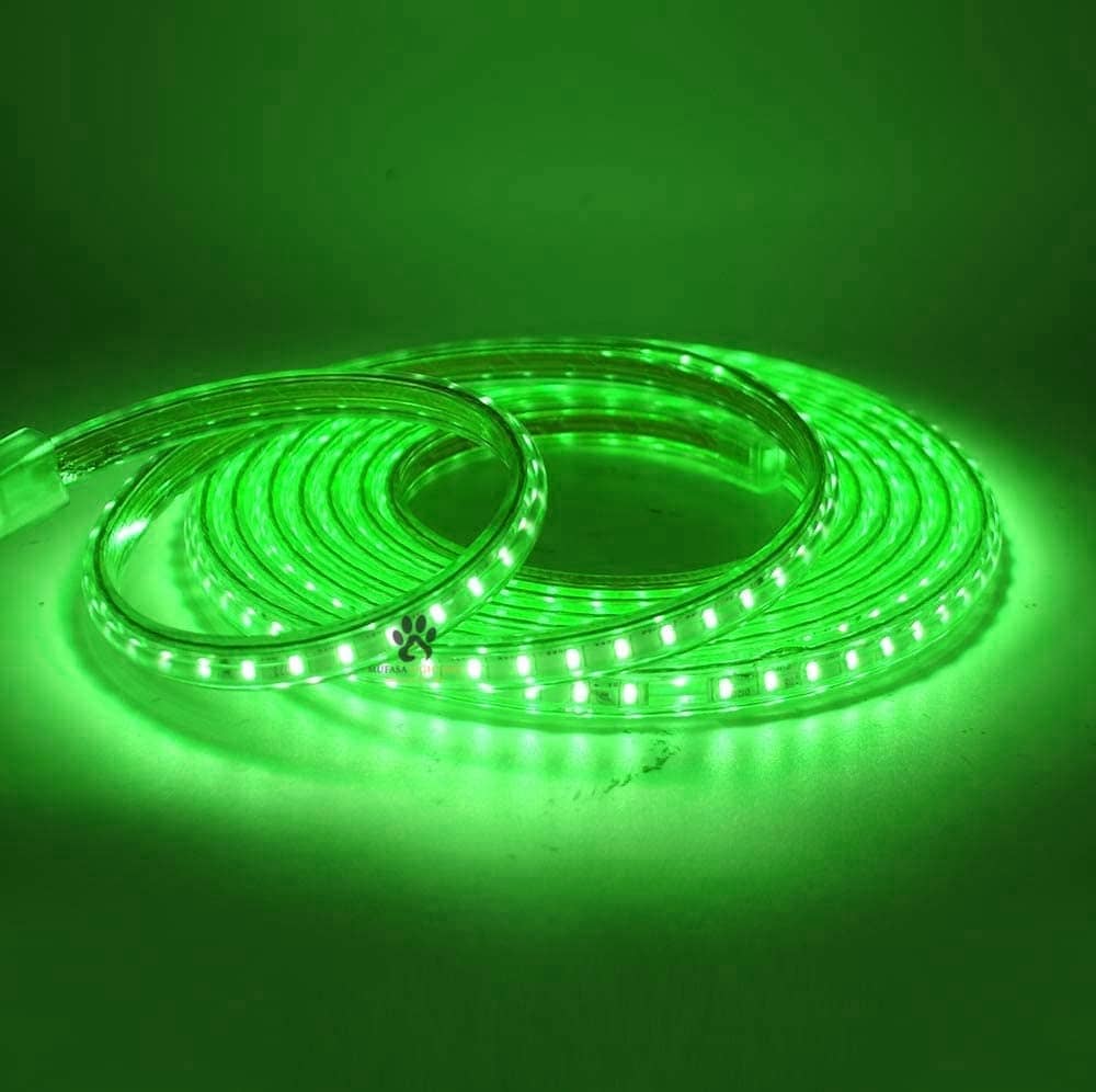 ZESTRUM Green 5M LED Strip ( Pack of 1 )