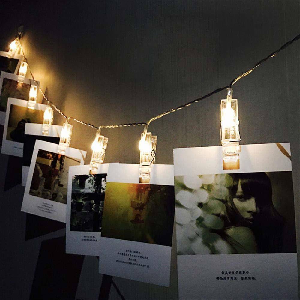     			ZESTRUM Multicolor 3M String Light ( Pack of 1 )