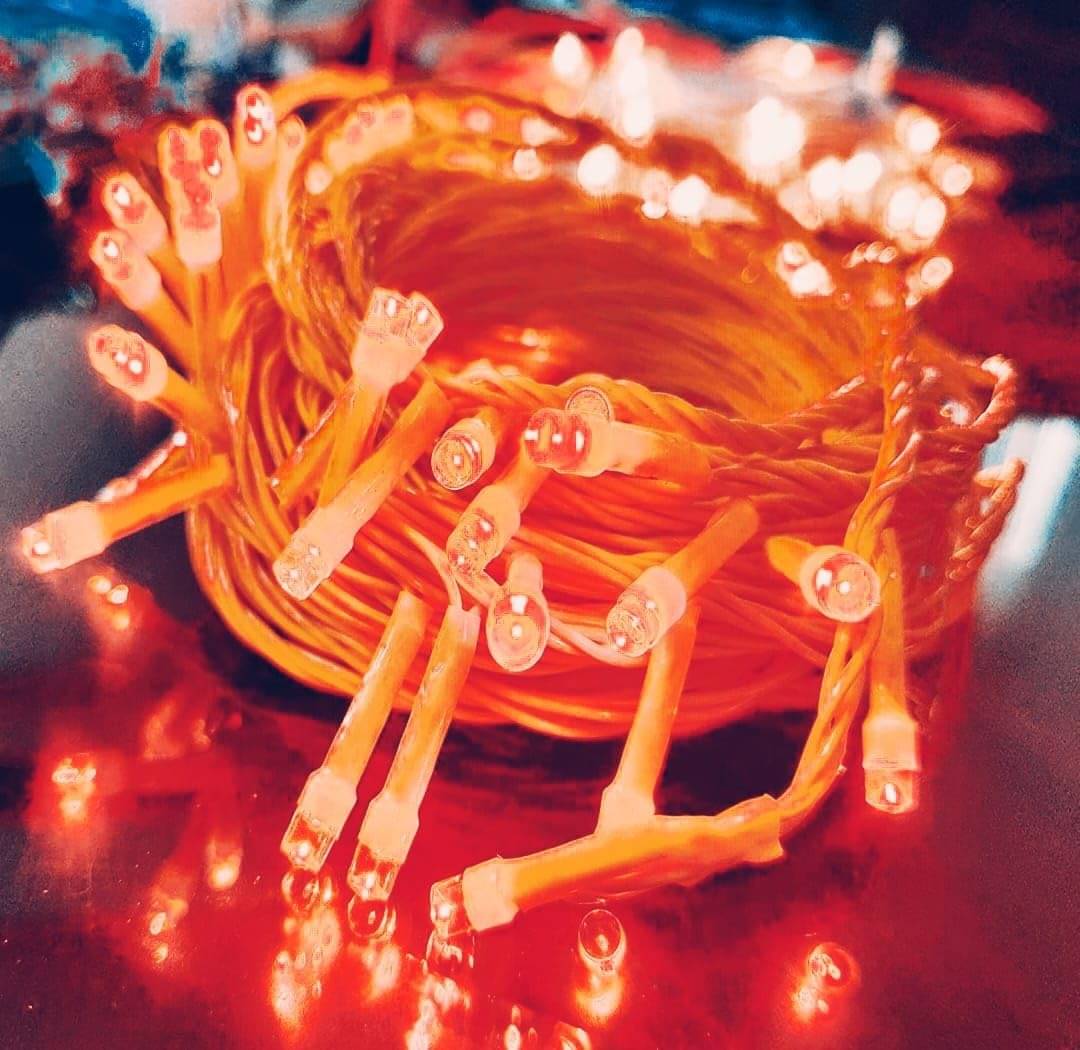     			ZESTRUM Orange 11 Mtr String Light ( Pack of 1 )
