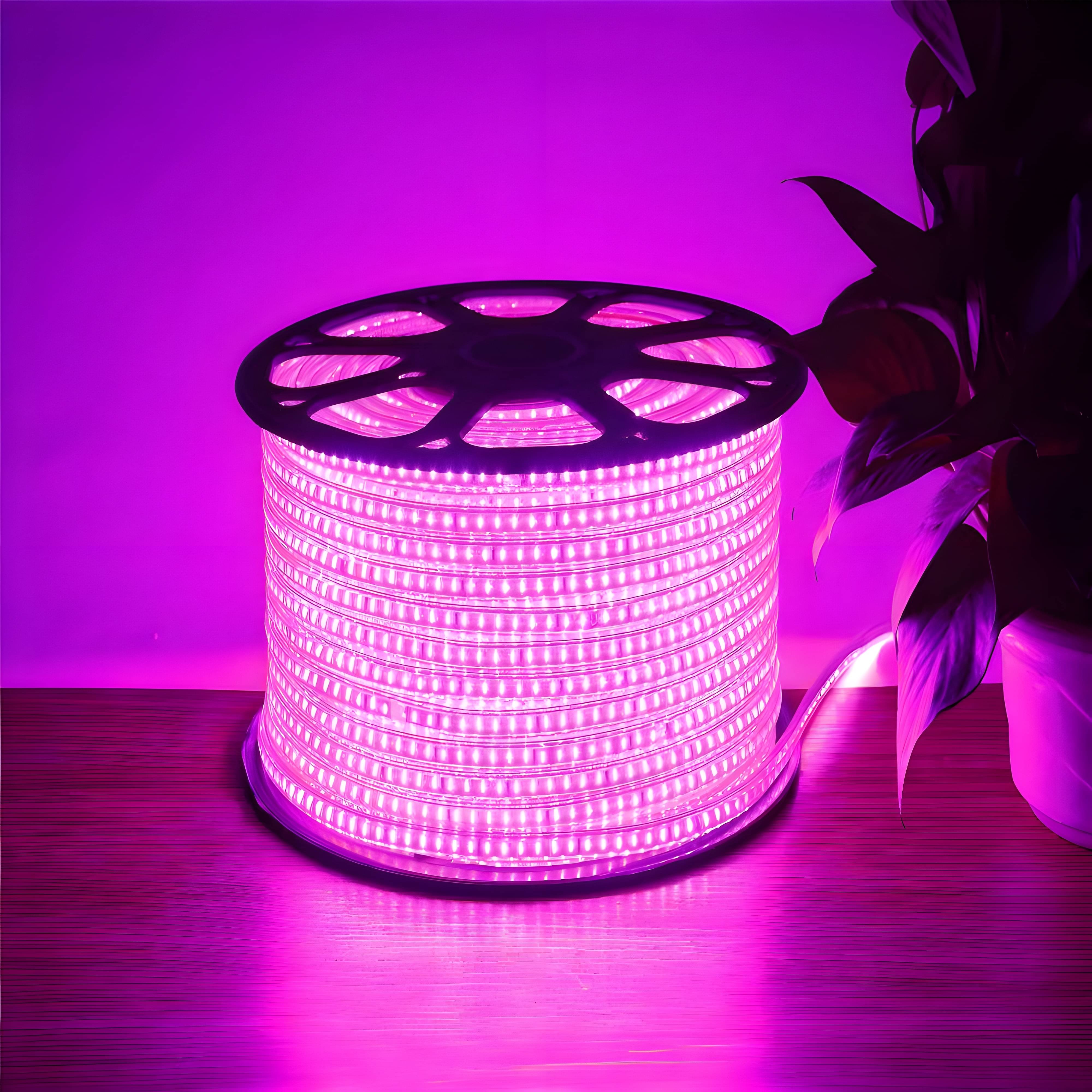     			ZESTRUM Pink 10 Mtr LED Strip ( Pack of 1 )