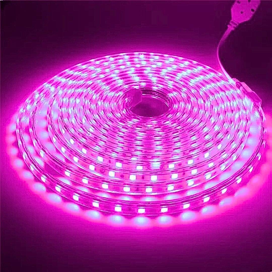     			ZESTRUM Pink 10 Mtr LED Strip ( Pack of 1 )