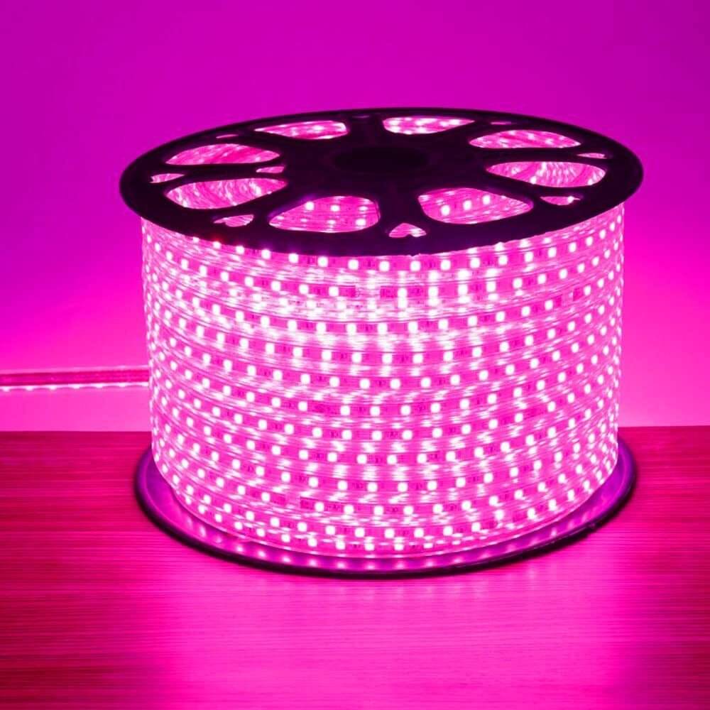     			ZESTRUM Pink 20M LED Strip ( Pack of 1 )