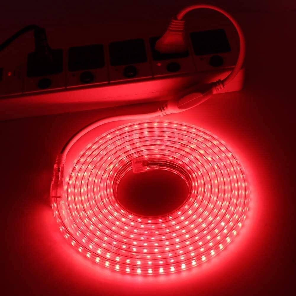     			ZESTRUM Red 10 Mtr LED Strip ( Pack of 1 )
