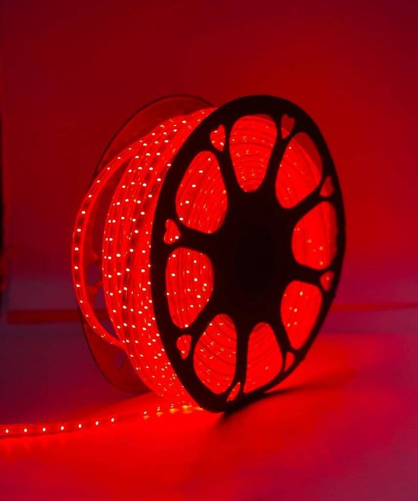     			ZESTRUM Red 5M LED Strip ( Pack of 1 )