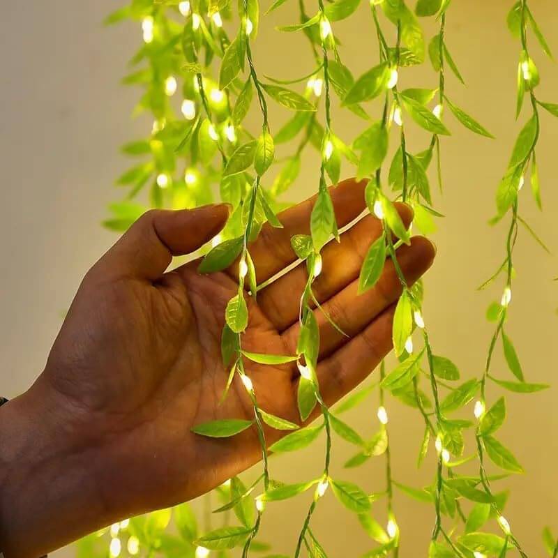     			ZESTRUM Yellow 3M Curtain String Light ( Pack of 1 )