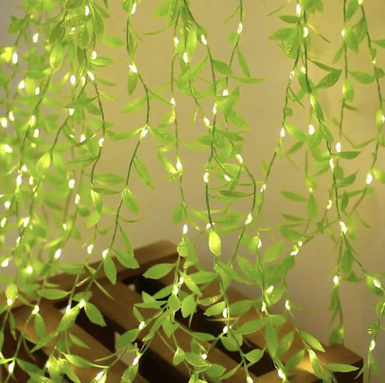     			ZESTRUM Yellow 3M Curtain String Light ( Pack of 1 )