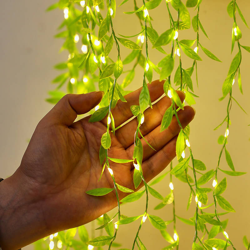     			ZESTRUM Yellow 3M Curtain String Light ( Pack of 1 )