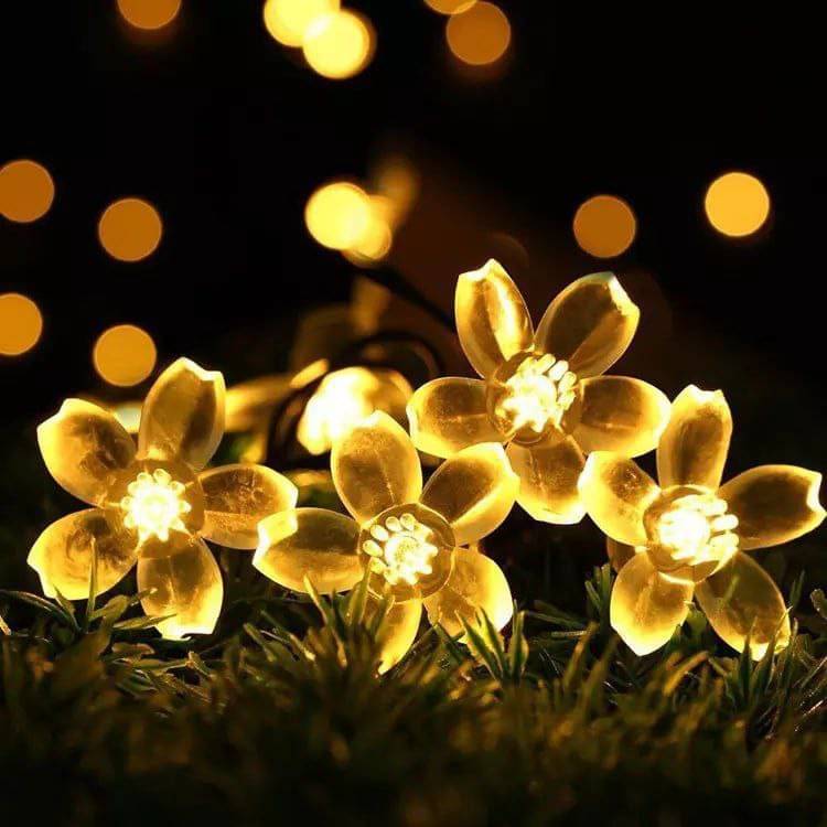     			ZESTRUM Yellow 3M String Light ( Pack of 1 )