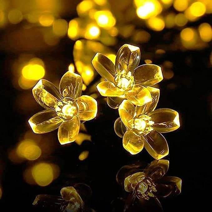     			ZESTRUM Yellow 3M String Light ( Pack of 1 )