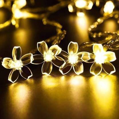     			ZESTRUM Yellow 3M String Light ( Pack of 1 )