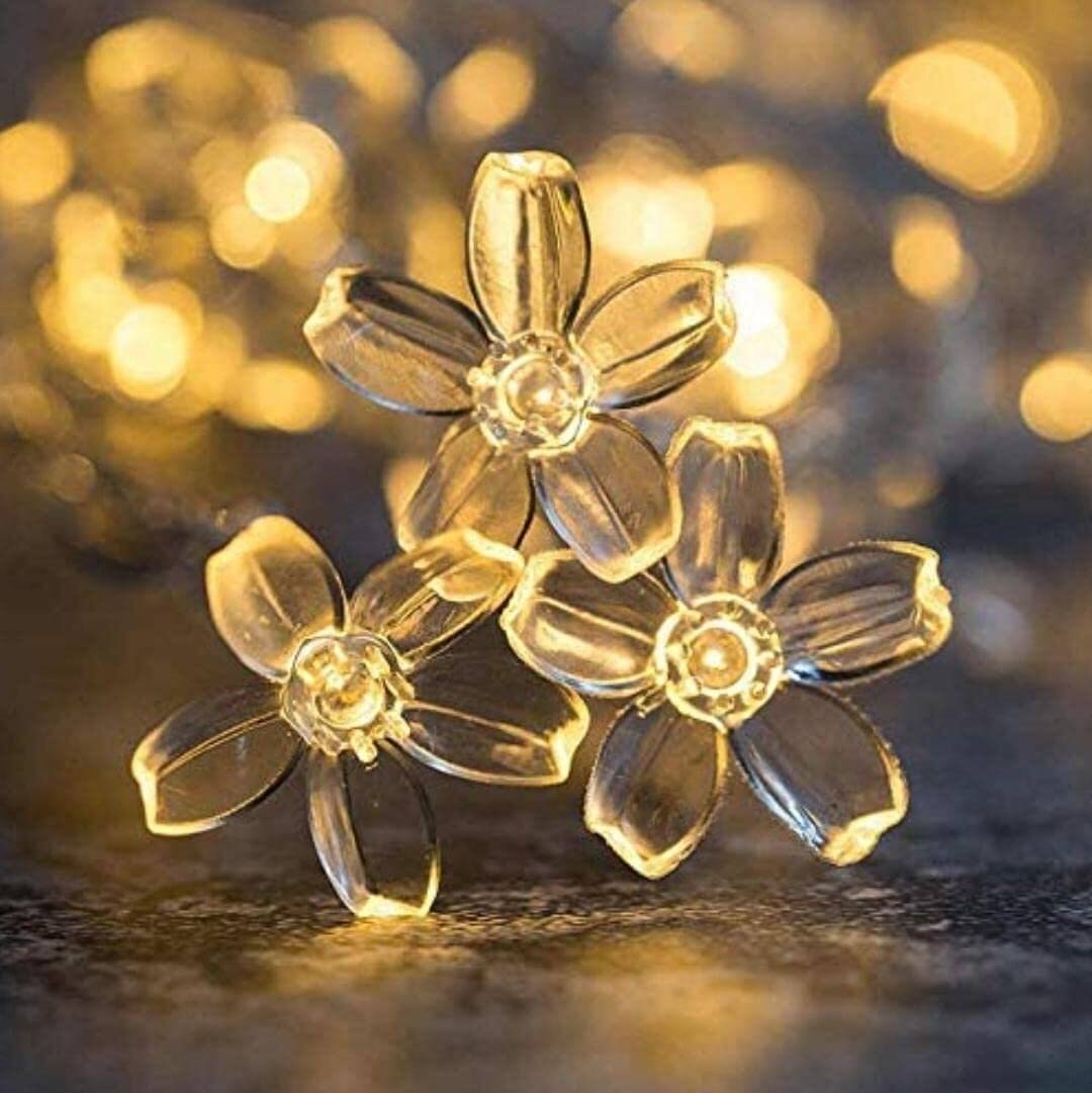     			ZESTRUM Yellow 3M String Light ( Pack of 1 )