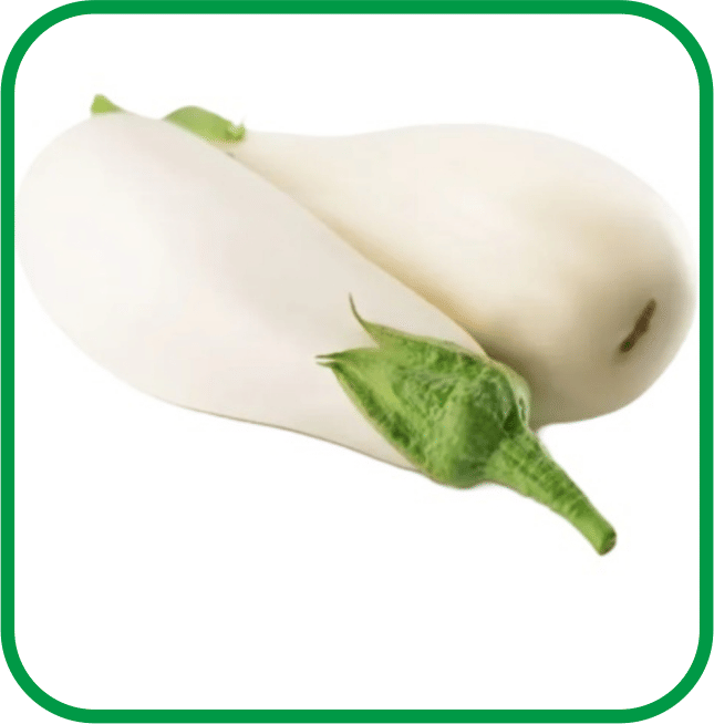 Aero Seeds Brinjal White Long Pack of 50 Seeds