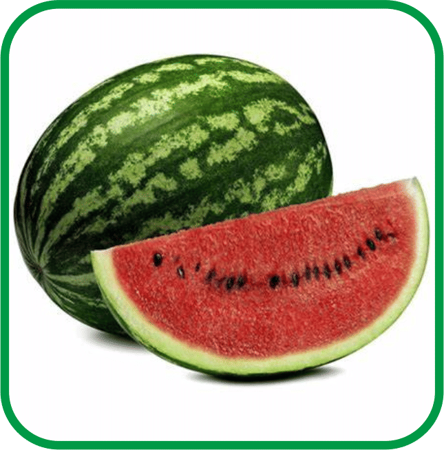 Aero Seeds Watermelon Vegetable ( 30 Seeds )
