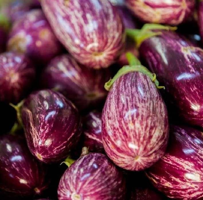 Jignisha Seeds Hybrid Kateri Brinjal Vegetable ( 50 Seeds ) Jignisha Seeds Hybrid Kateri Brinjal Vegetable ( 50 Seeds )
