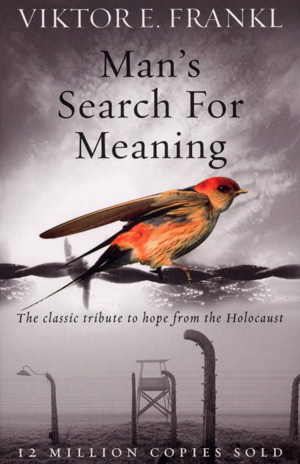    			Man's Search For Meaning: The classic tribute to hope from the Holocaust