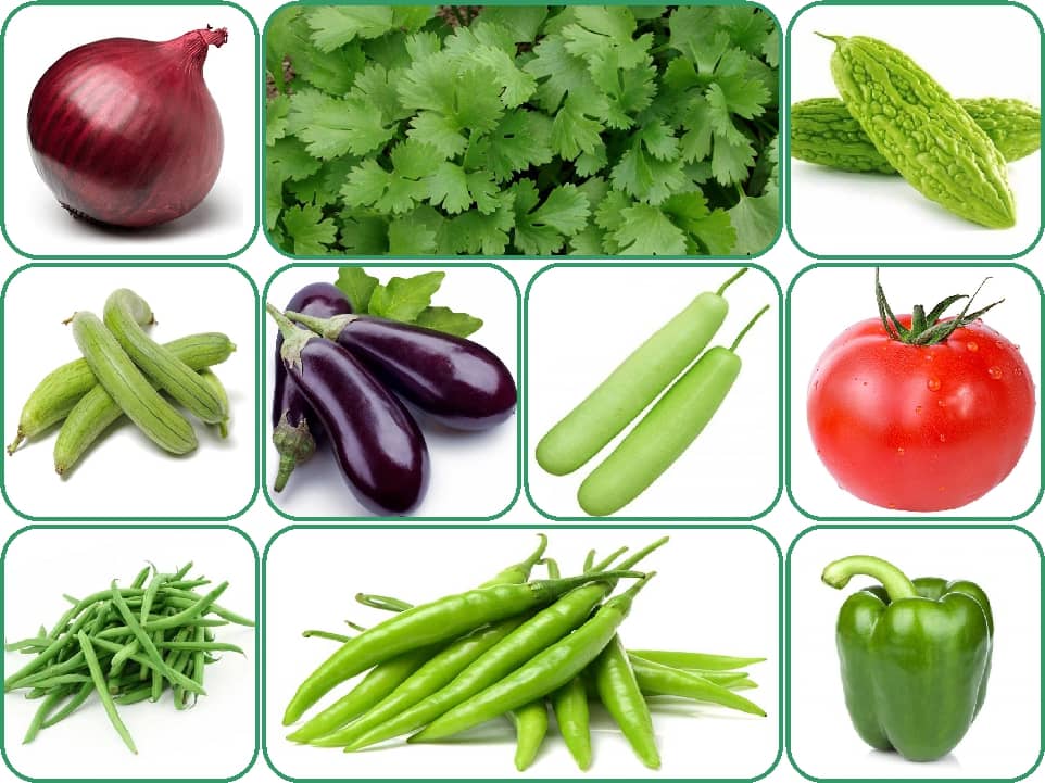 Aero Seeds 10 variety vegetable seeds combo pack with instruction manual.