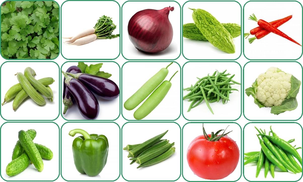 Aero Seeds 15 variety vegetable seeds combo pack with instruction manual. Aero Seeds 15 variety vegetable seeds combo pack with instruction manual.