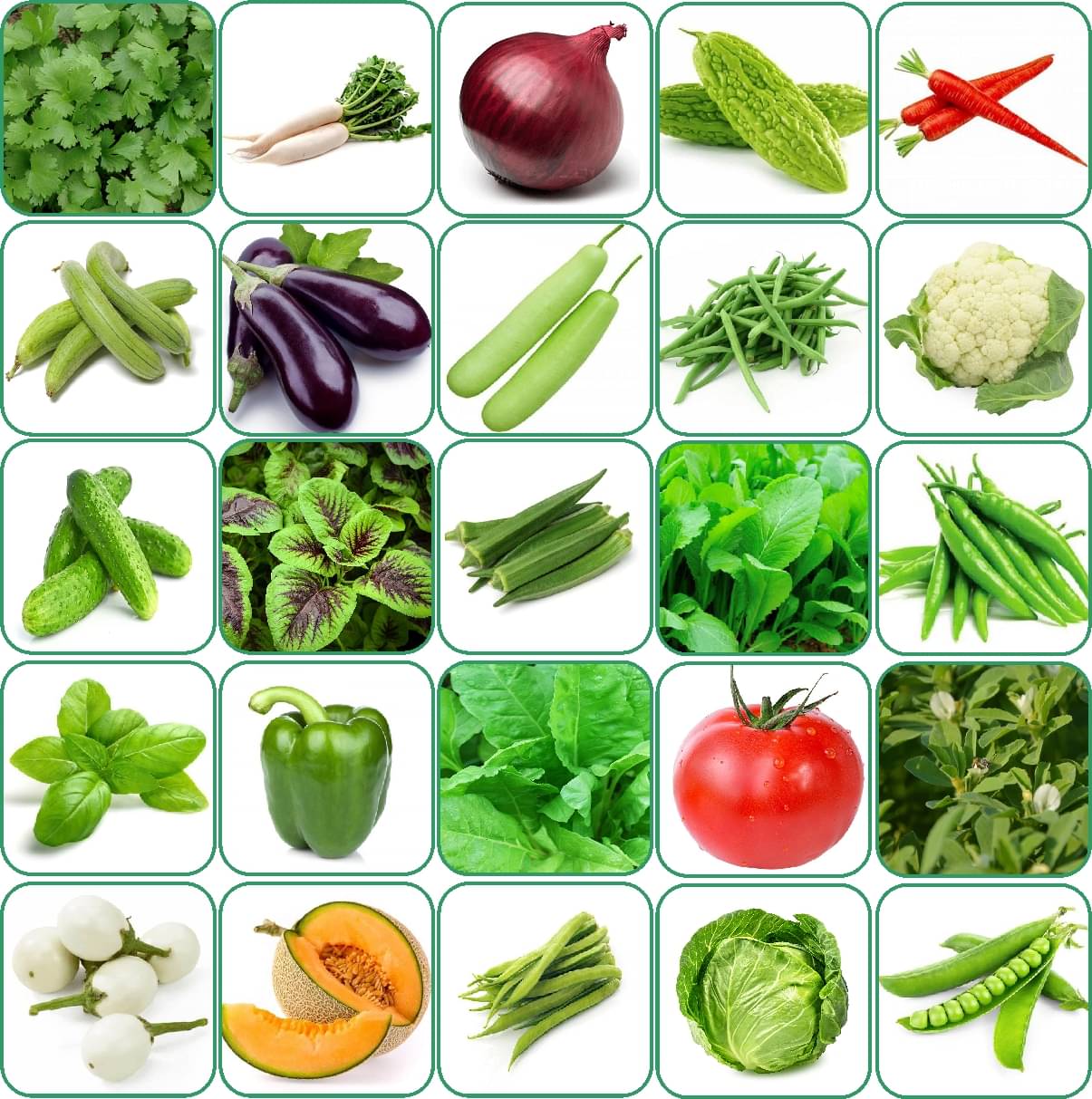 Aero Seeds 25 variety vegetable seeds combo pack with instruction manual. Aero Seeds 25 variety vegetable seeds combo pack with instruction manual.