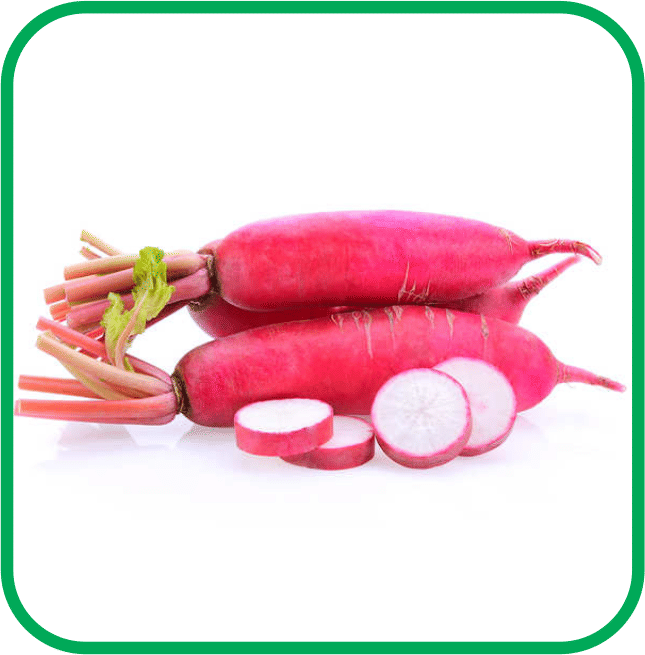     			Aero Seeds Radish Red Pack of 50 Seeds