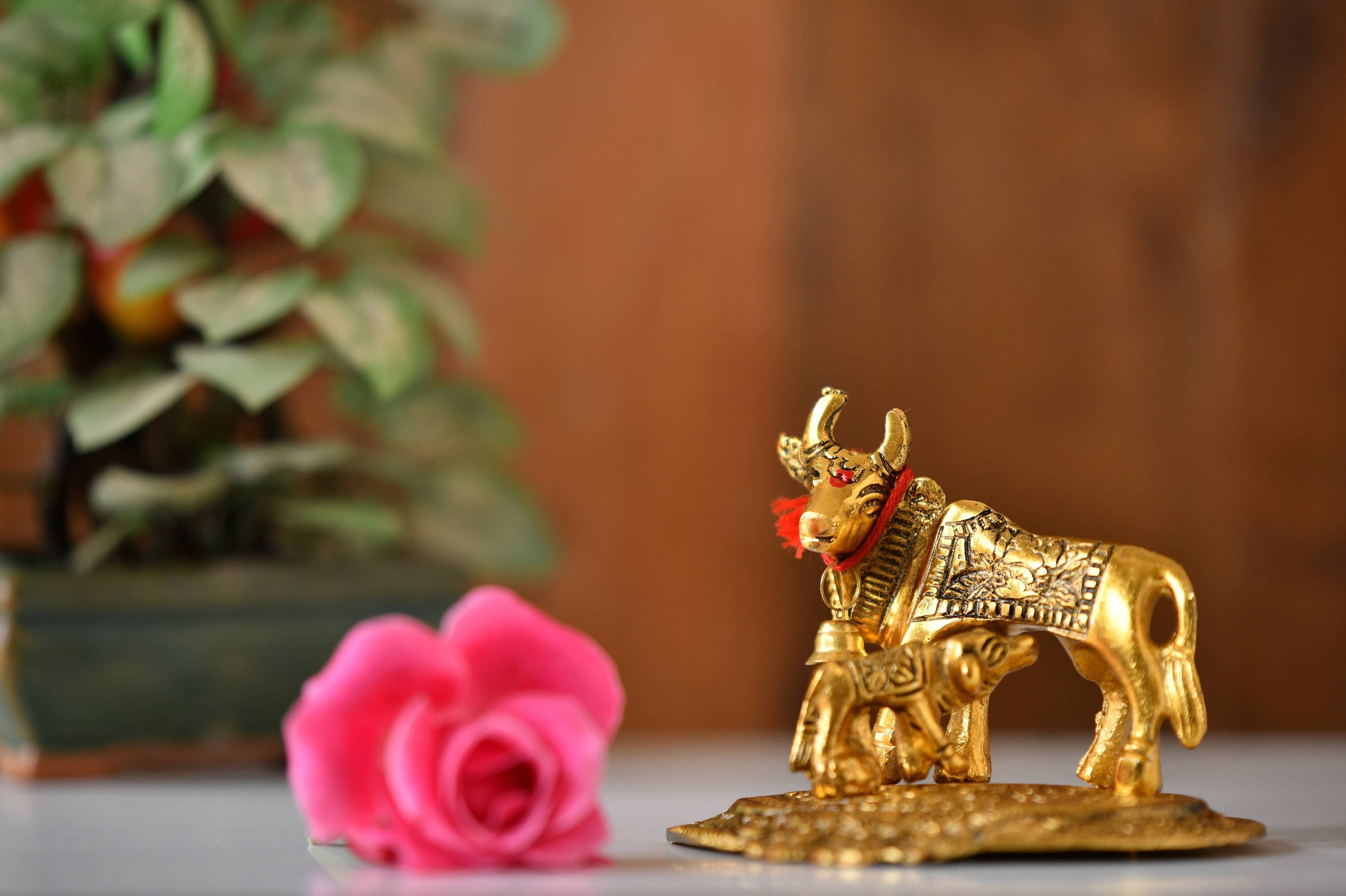 Fashion Bizz Kamdhenu Cow Statue With Calf For Home Decor Decorative Showpiece - 12 cm