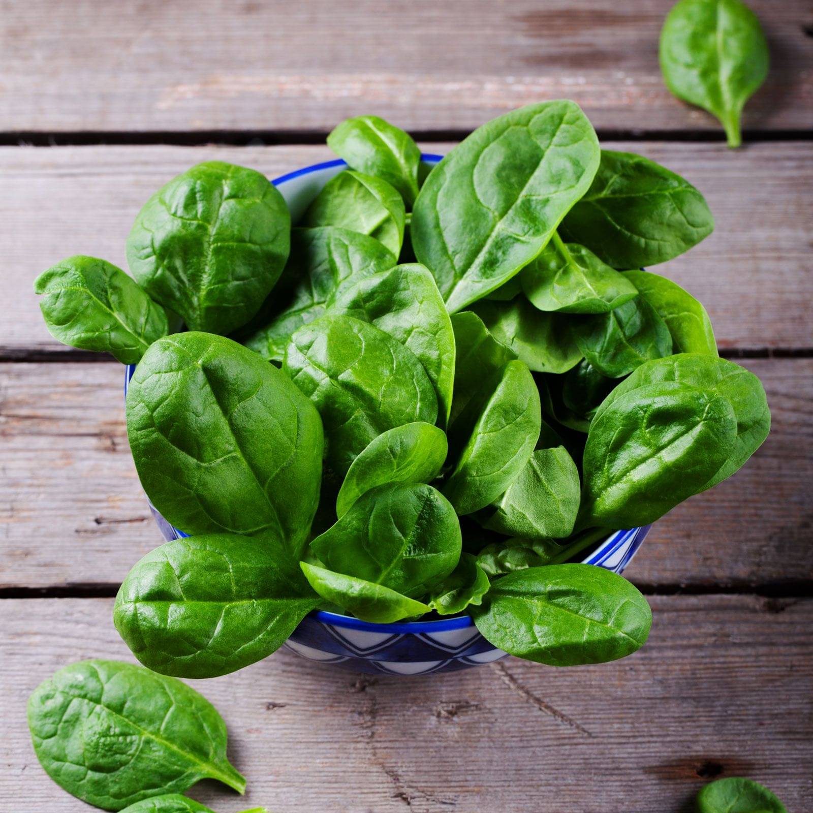 Jignisha Seeds Hybrid Spinach Vegetable ( 200 Seeds ) Jignisha Seeds Hybrid Spinach Vegetable ( 200 Seeds )