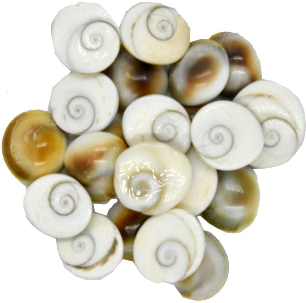     			Shri Astha Vinayak Marble Yantra