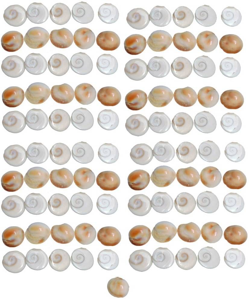     			Shri Astha Vinayak Marble Yantra