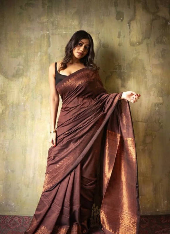 Sitanjali Lifestyle Silk Blend Embroidered Saree With Unstitched Blouse Piece ( Brown ) Sitanjali Lifestyle Silk Blend Embroidered Saree With Unstitched Blouse Piece ( Brown )