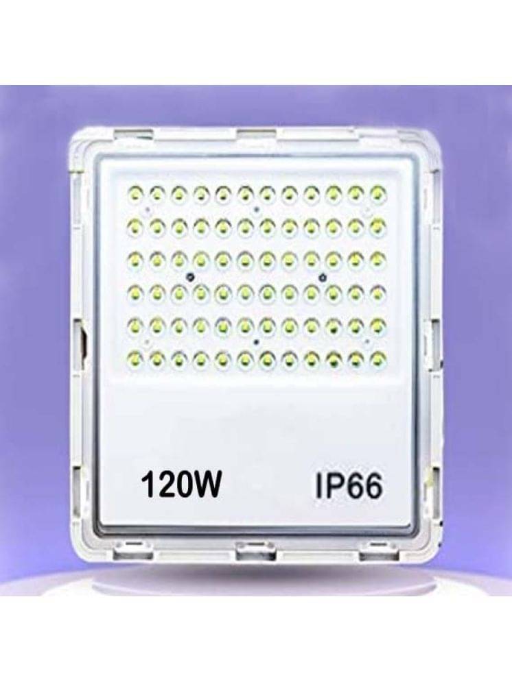 ZESTRUM Cool Day Light 100 Watts Flood Light ( Pack of 1 ) ZESTRUM Cool Day Light 100 Watts Flood Light ( Pack of 1 )