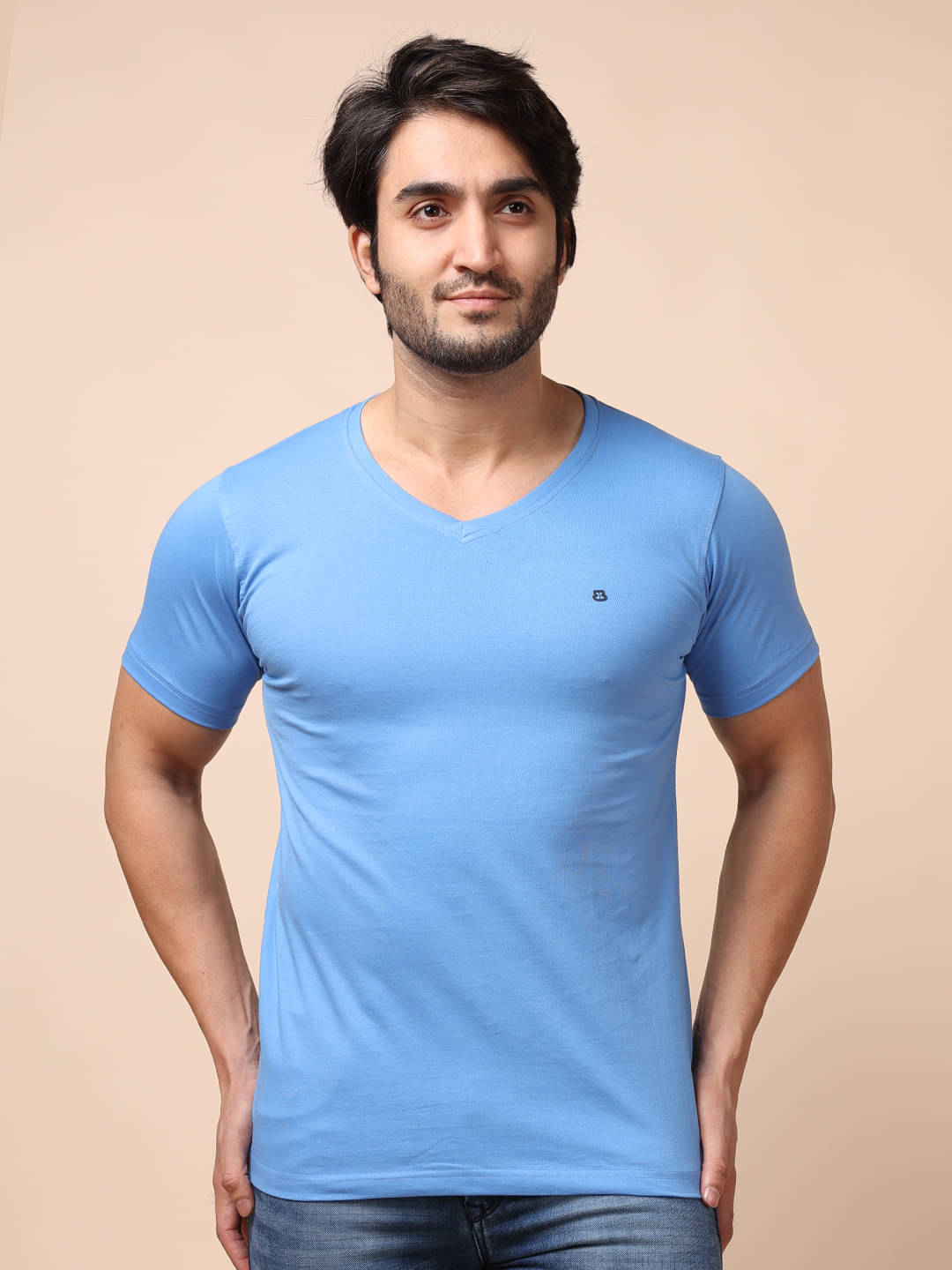 BERRYBLUES 100% Cotton Regular Fit Solid Half Sleeves Men's V-Neck T-Shirt - Blue ( Pack of 1 ) BERRYBLUES 100% Cotton Regular Fit Solid Half Sleeves Men's V-Neck T-Shirt - Blue ( Pack of 1 )