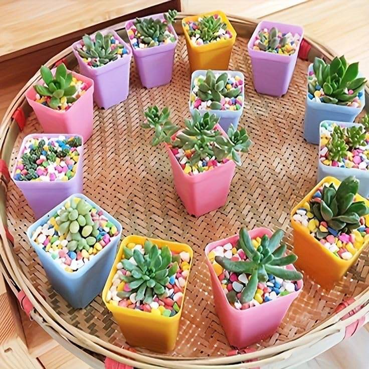 Grow Basket Fruit/Grain Quality Enhancer Granules ( ) For All crops Grow Basket Fruit/Grain Quality Enhancer Granules ( ) For All crops