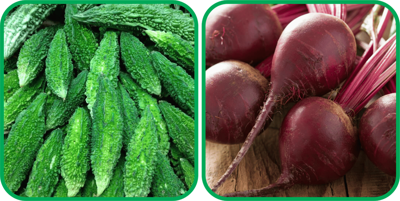 Aero Seeds Beetroot ( 100 Seeds) And Bitter Gourd ( 30 Seeds) Vegetable Seeds Pack Aero Seeds Beetroot ( 100 Seeds) And Bitter Gourd ( 30 Seeds) Vegetable Seeds Pack