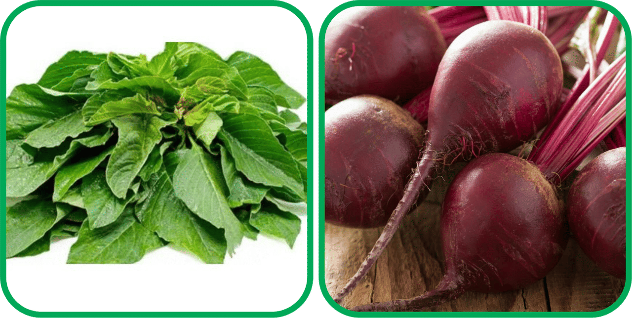 Aero Seeds Beetroot ( 100 Seeds) And Green Amaranth ( 200 Seeds) Vegetable Seeds Pack Aero Seeds Beetroot ( 100 Seeds) And Green Amaranth ( 200 Seeds) Vegetable Seeds Pack