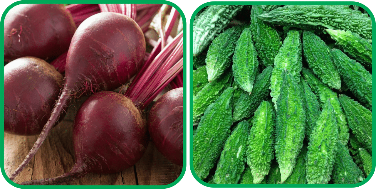     			Aero Seeds Bitter Gourd ( 30 Seeds) And Beetroot ( 100 Seeds) Vegetable Seeds Pack