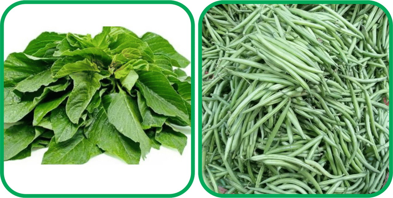     			Aero Seeds French Beans ( 30 Seeds) And Green Amaranth ( 200 Seeds) Vegetable Seeds Pack