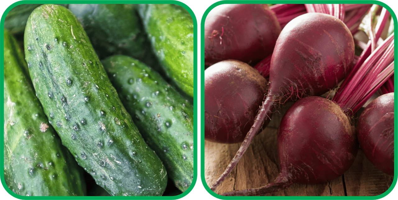 Aero Seeds Beetroot ( 100 Seeds) And Cucumber ( 30 Seeds) Vegetable Seeds Pack Aero Seeds Beetroot ( 100 Seeds) And Cucumber ( 30 Seeds) Vegetable Seeds Pack