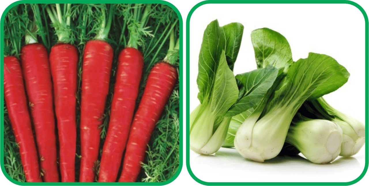     			Aero Seeds Pak Choi ( 50 Seeds) And Red Carrot ( 200 Seeds) Vegetable Seeds Pack
