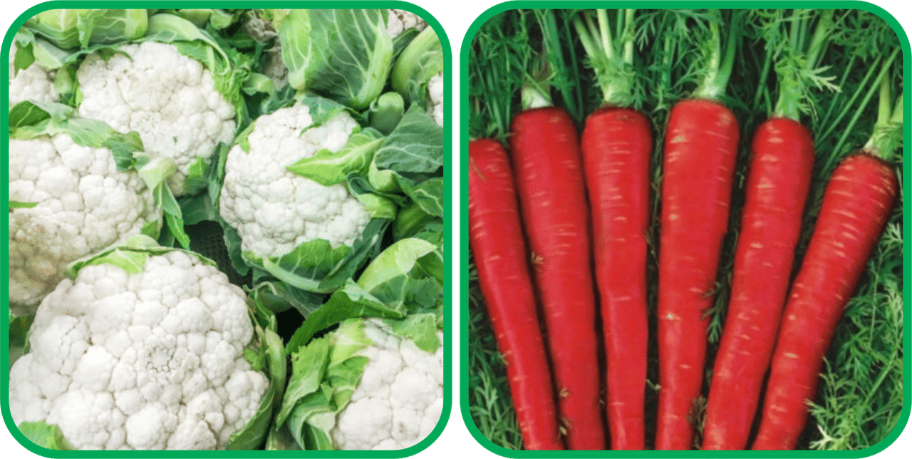 Aero Seeds Red Carrot ( 200 Seeds) And Cauliflower ( 50 Seeds) Vegetable Seeds Pack Aero Seeds Red Carrot ( 200 Seeds) And Cauliflower ( 50 Seeds) Vegetable Seeds Pack