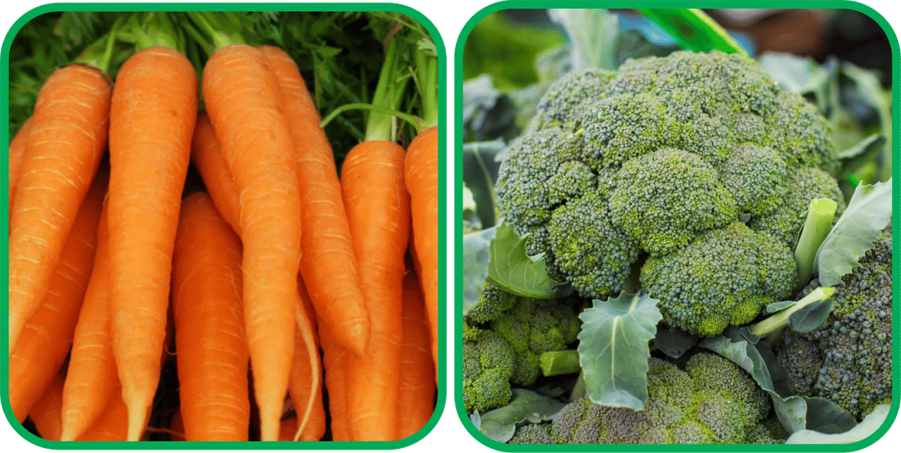Aero Seeds Broccoli ( 50 Seeds) And English Carrot ( 100 Seeds) Vegetable Seeds Pack     			Aero Seeds Broccoli ( 50 Seeds) And English Carrot ( 100 Seeds) Vegetable Seeds Pack