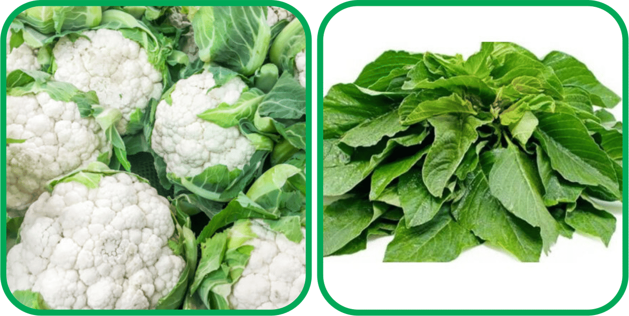     			Aero Seeds Green Amaranth ( 200 Seeds) And Cauliflower ( 50 Seeds) Vegetable Seeds Pack