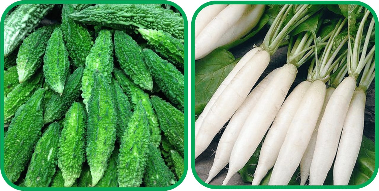     			Aero Seeds Radish White Long (100 Seeds) And Bitter Gourd ( 30 Seeds) Vegetable Seeds Pack