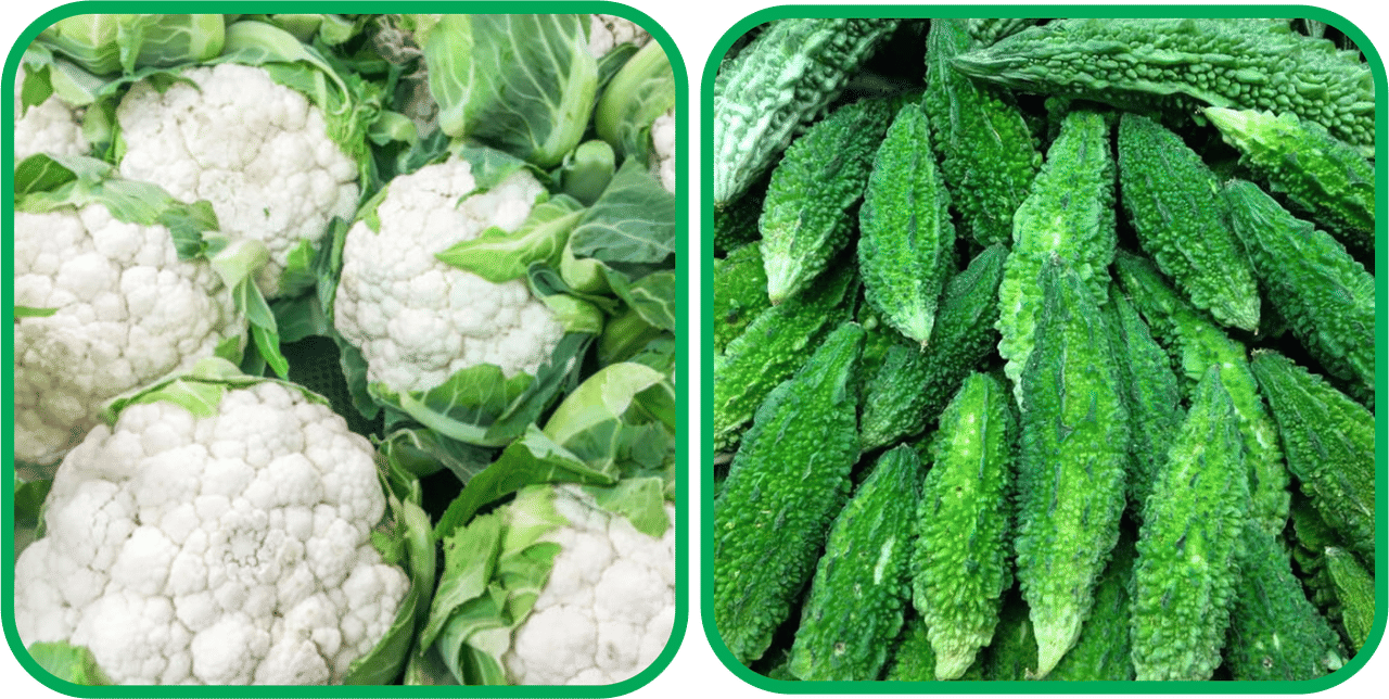     			Aero Seeds Bitter Gourd ( 30 Seeds) And Cauliflower ( 50 Seeds) Vegetable Seeds Pack