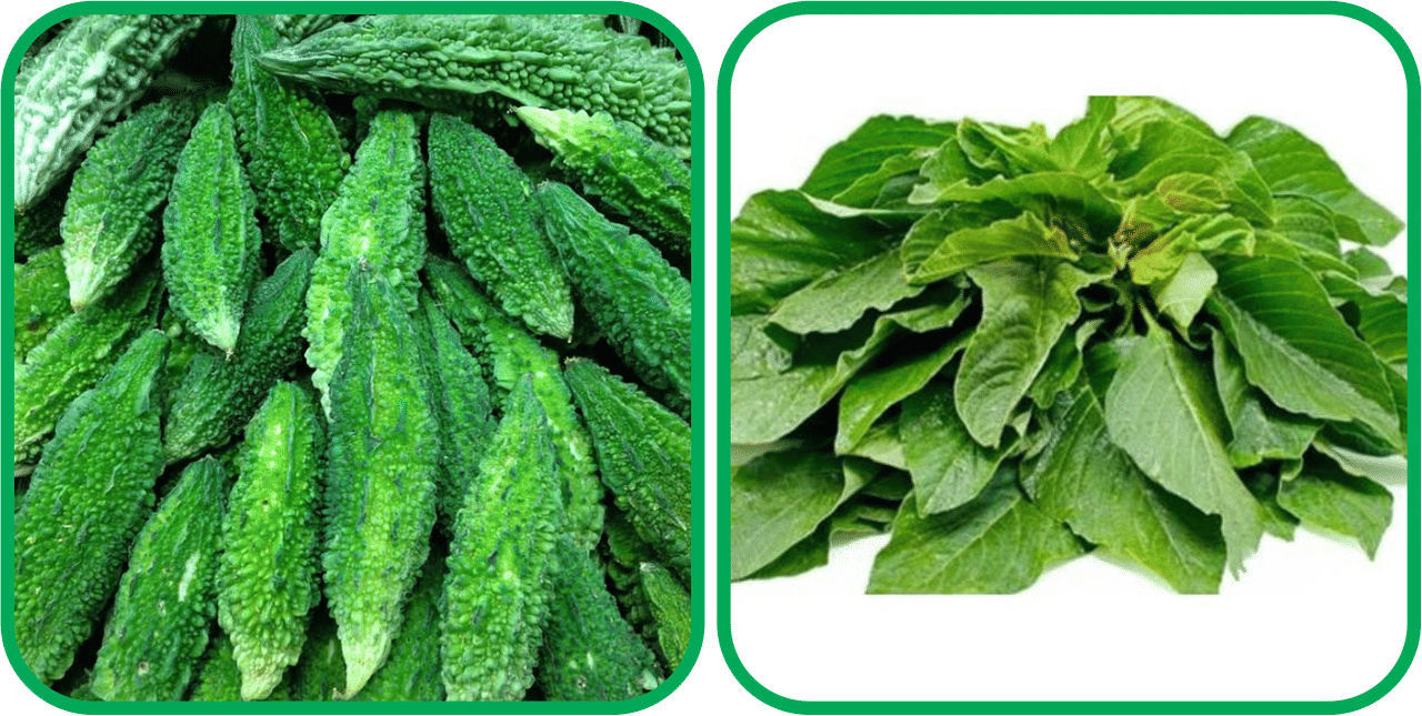 Aero Seeds Green Amaranth ( 200 Seeds) And Bitter Gourd ( 30 Seeds) Vegetable Seeds Pack Aero Seeds Green Amaranth ( 200 Seeds) And Bitter Gourd ( 30 Seeds) Vegetable Seeds Pack