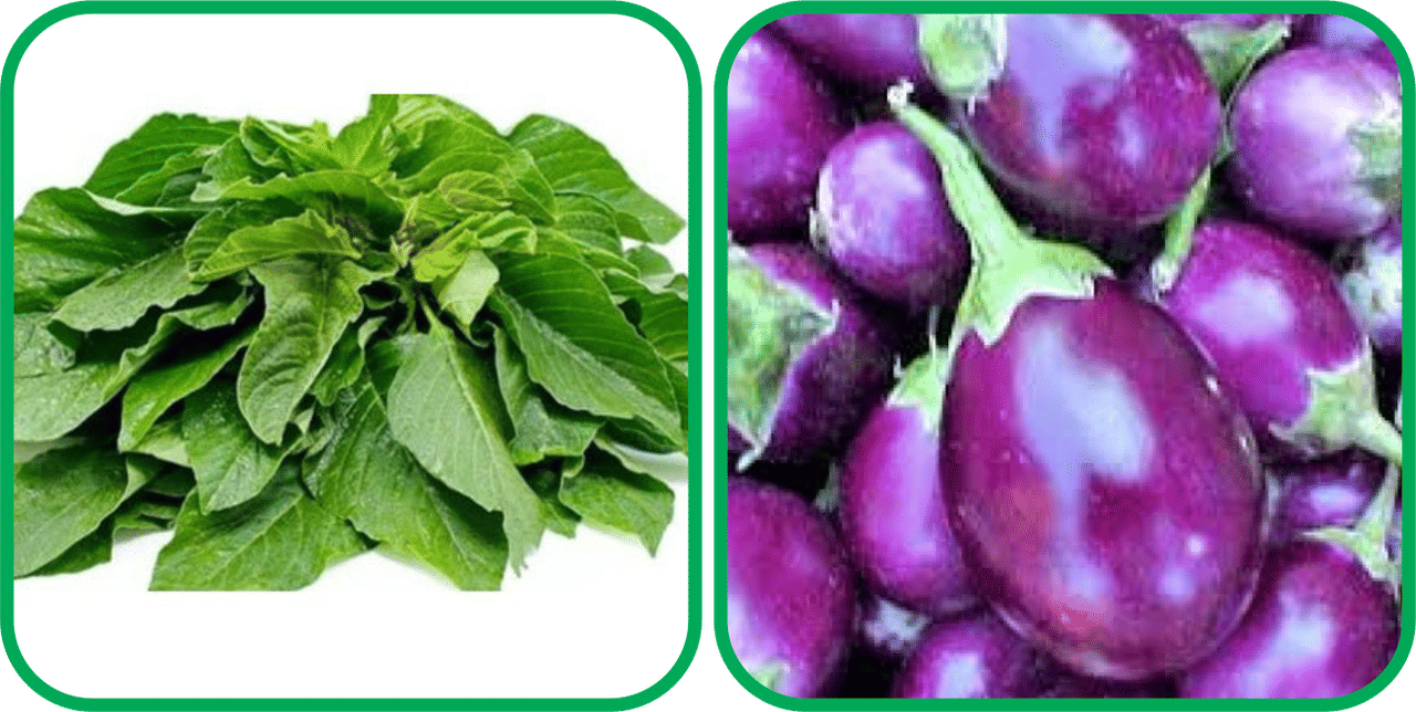     			Aero Seeds Brinjal Purple Round ( 30 Seeds) And Green Amaranth ( 200 Seeds) Vegetable Seeds Pack