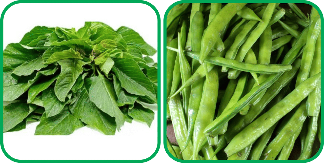 Aero Seeds Cluster Beans ( 50 Seeds) And Green Amaranth ( 200 Seeds) Vegetable Seeds Pack Aero Seeds Cluster Beans ( 50 Seeds) And Green Amaranth ( 200 Seeds) Vegetable Seeds Pack