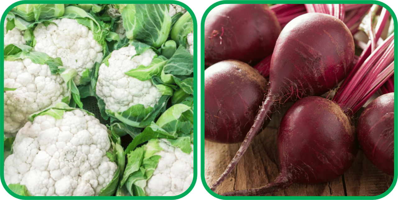     			Aero Seeds Beetroot ( 100 Seeds) And Cauliflower ( 50 Seeds) Vegetable Seeds Pack