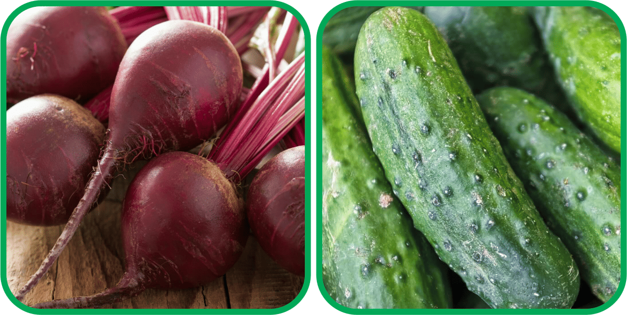    			Aero Seeds Cucumber ( 30 Seeds) And Beetroot ( 100 Seeds) Vegetable Seeds Pack