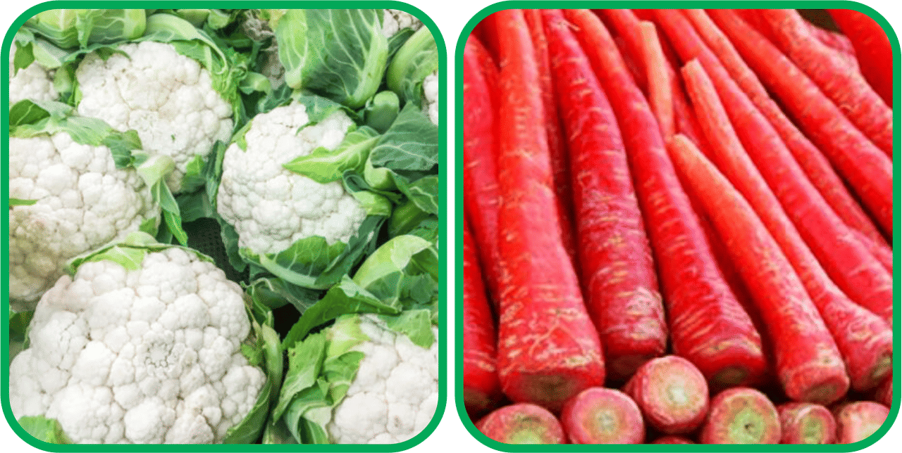 Aero Seeds Redish Red ( 100 Seeds) And Cauliflower ( 50 Seeds) Vegetable Seeds Pack Aero Seeds Redish Red ( 100 Seeds) And Cauliflower ( 50 Seeds) Vegetable Seeds Pack