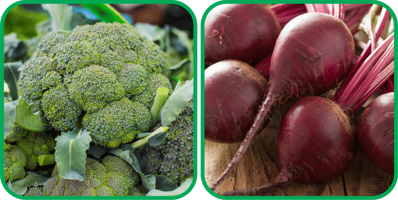 Aero Seeds Beetroot ( 100 Seeds) And Broccoli ( 50 Seeds) Vegetable Seeds Pack     			Aero Seeds Beetroot ( 100 Seeds) And Broccoli ( 50 Seeds) Vegetable Seeds Pack