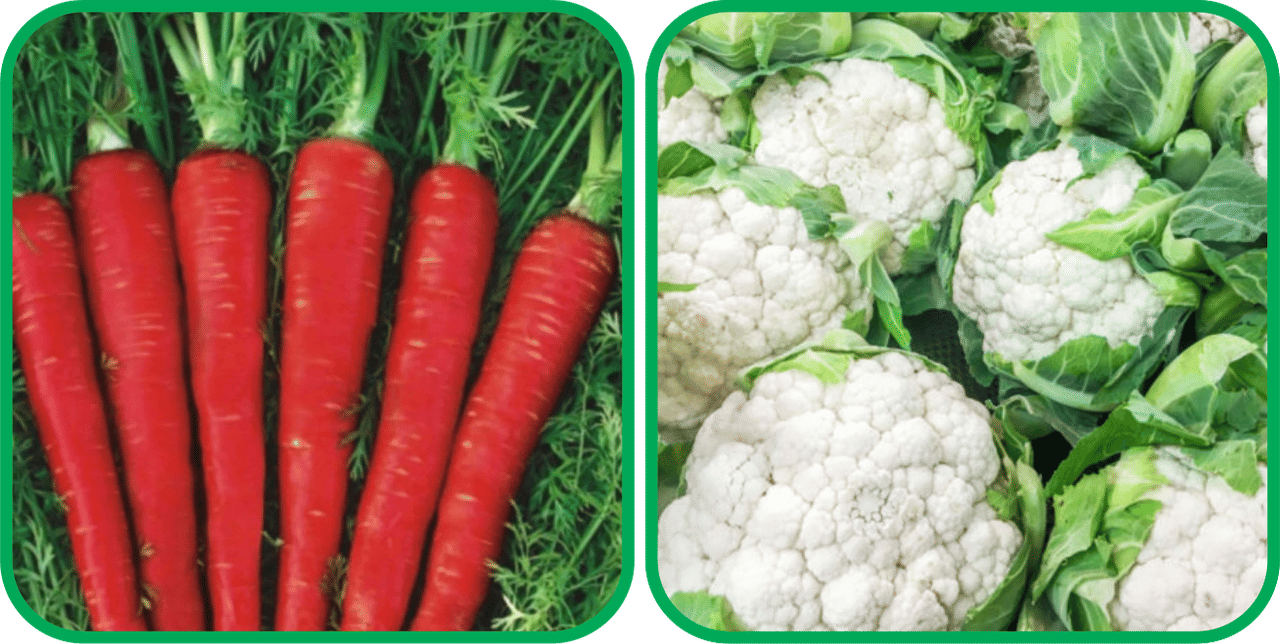 Aero Seeds Cauliflower ( 50 Seeds) And Red Carrot ( 200 Seeds) Vegetable Seeds Pack Aero Seeds Cauliflower ( 50 Seeds) And Red Carrot ( 200 Seeds) Vegetable Seeds Pack